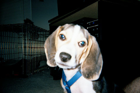 Oh geez, more pictures...!