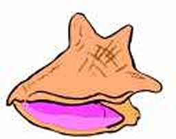 conch.jpg (9135 bytes)