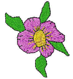 floral13.jpg (11666 bytes)