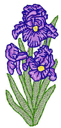 floral16.jpg (21935 bytes)
