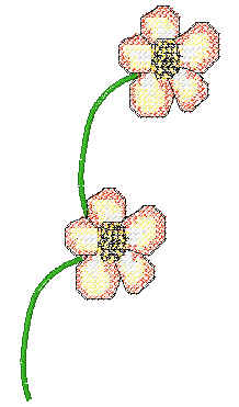 floral2.jpg (11315 bytes)