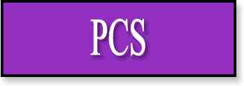pcs.jpg (3645 bytes)