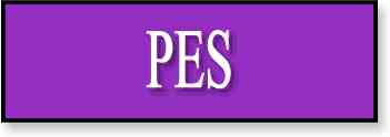 pes.jpg (3564 bytes)