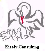 Kisely Consulting Pty ABN 350 945 496 30