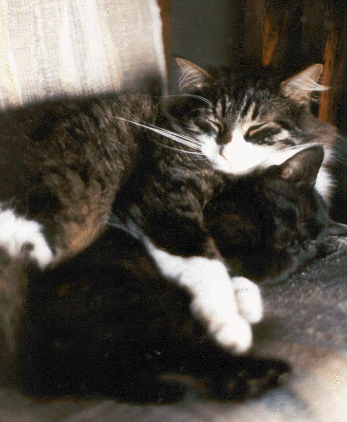 brotherly&nbsp; love