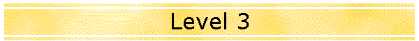 Level 3