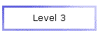 Level 3