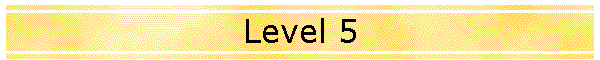 Level 5