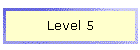 Level 5