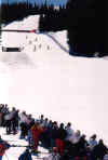 Divas_skiing_Harleygirls.JPG (110179 bytes)