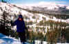Kelly at Mammoth glades.jpg (77667 bytes)