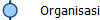Organisasi