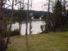 43-yellowstone.jpg (34609 bytes)