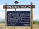65-wyosprey.jpg (30199 bytes)