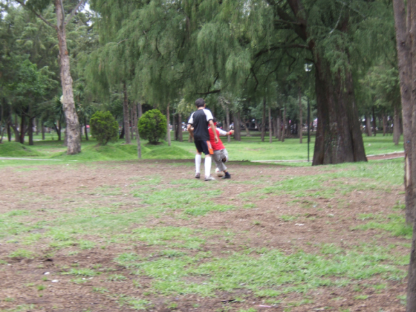 DSCF1176