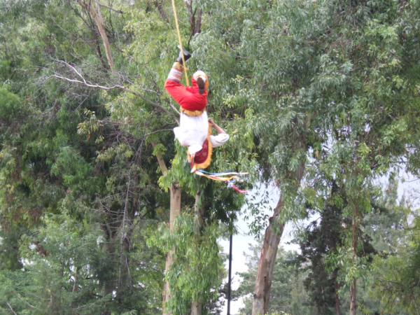DSCF1192