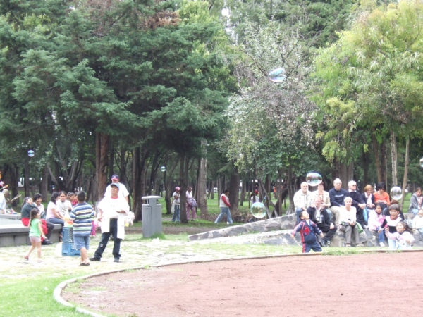 DSCF1193