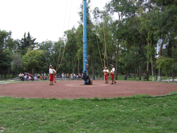 DSCF1196