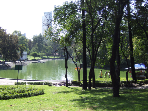 DSCF1403