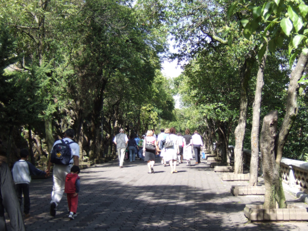 DSCF1413