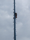 DSCF1179