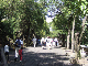 DSCF1413