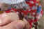 DSCF0888_edited-1