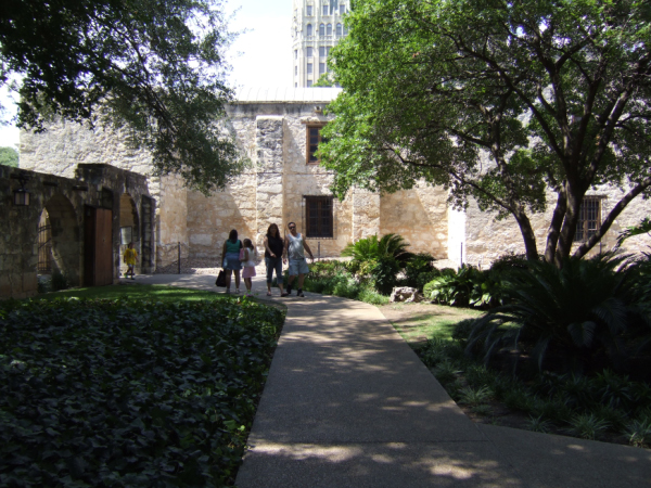 DSCF0137