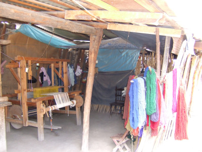 DSCF0954