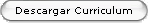 Descargar Curriculum Word