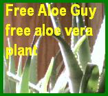 Aloe Plant Information