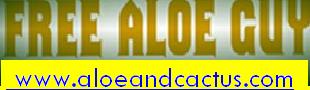www.aloeandcactus.com