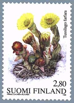 tussilago finskt frimärke