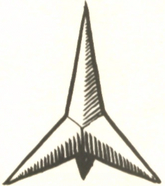 caltrap, badge of Drummond