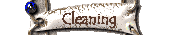 Cleaning