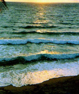 OCEAN