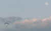 04060019.jpg (157956 bytes)