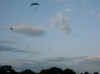 04060021.jpg (171309 bytes)