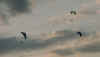 04060024.jpg (209946 bytes)