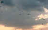 04060029.jpg (208063 bytes)