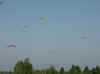 04070030.jpg (173458 bytes)