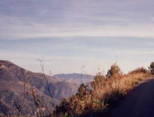 bay valley