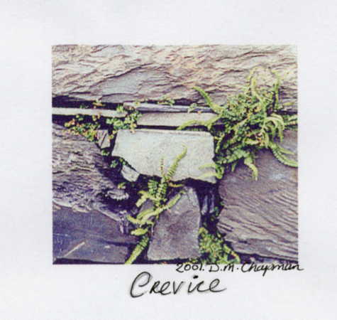 crevice