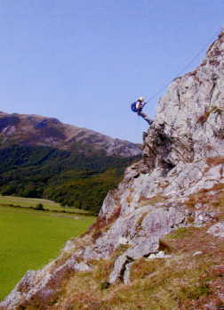 bird rock