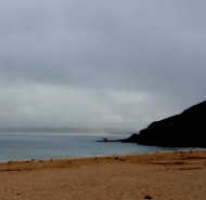 grey sky gulls