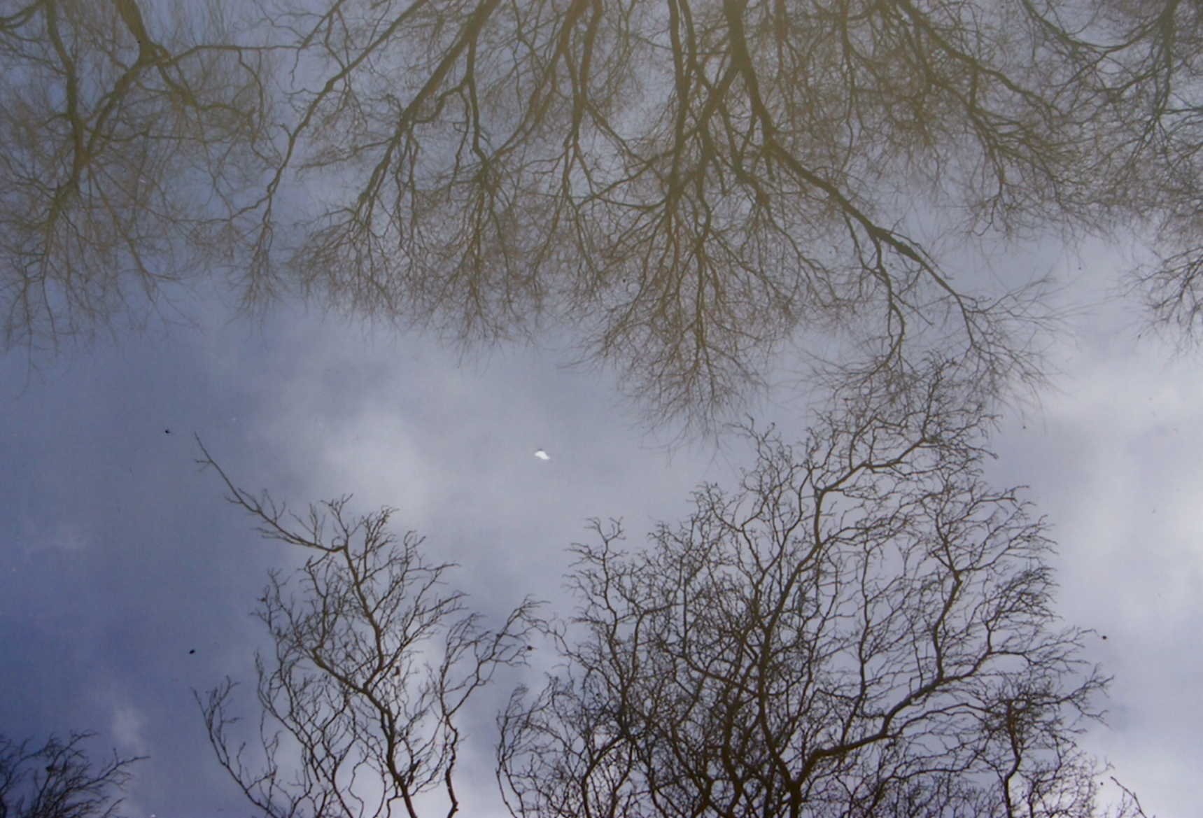 river reflections