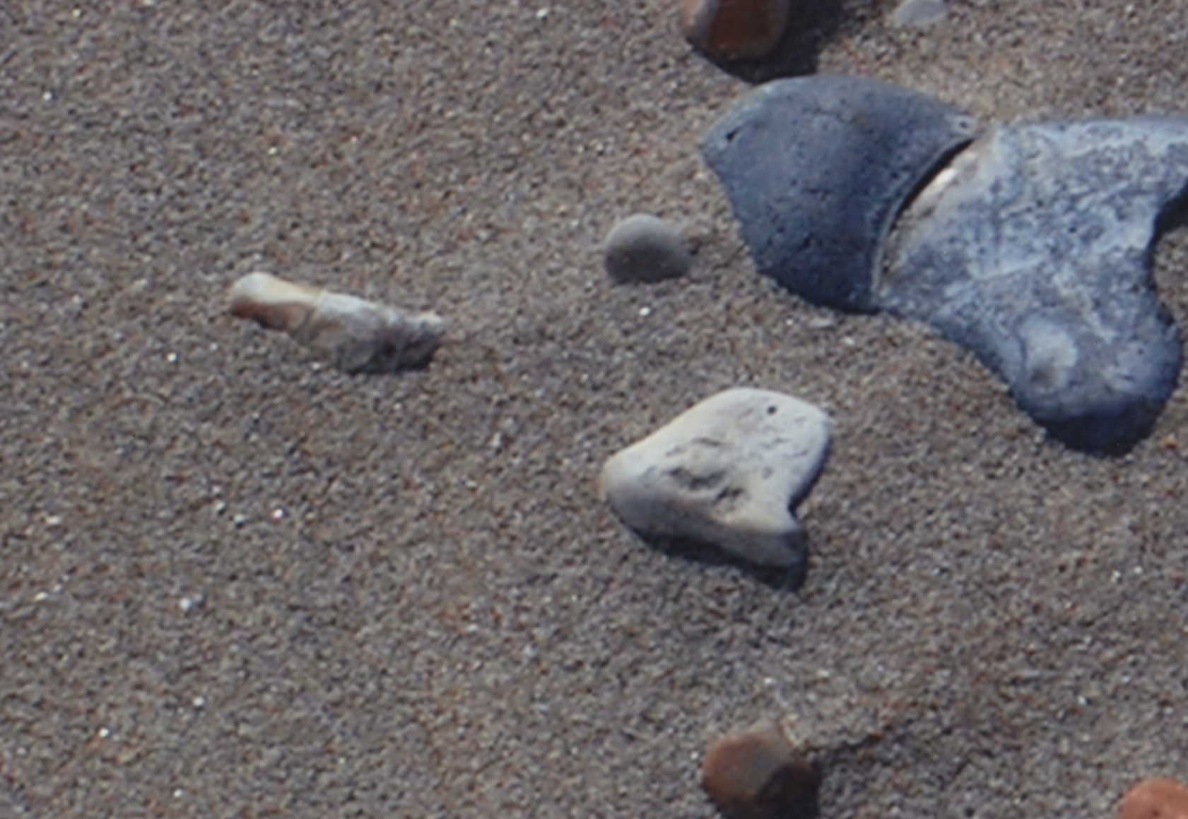 sand imprints