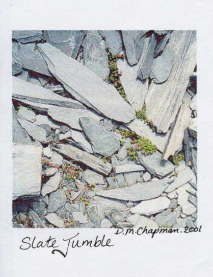 slatejumble