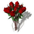 Dozen Red Roses