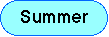 Summer Button